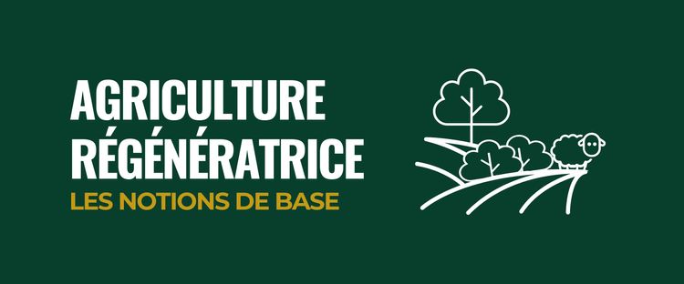 Repenser notre modèle agricole avec l'agricuxlture régénératrice : entre développement économique et préservation des ressources