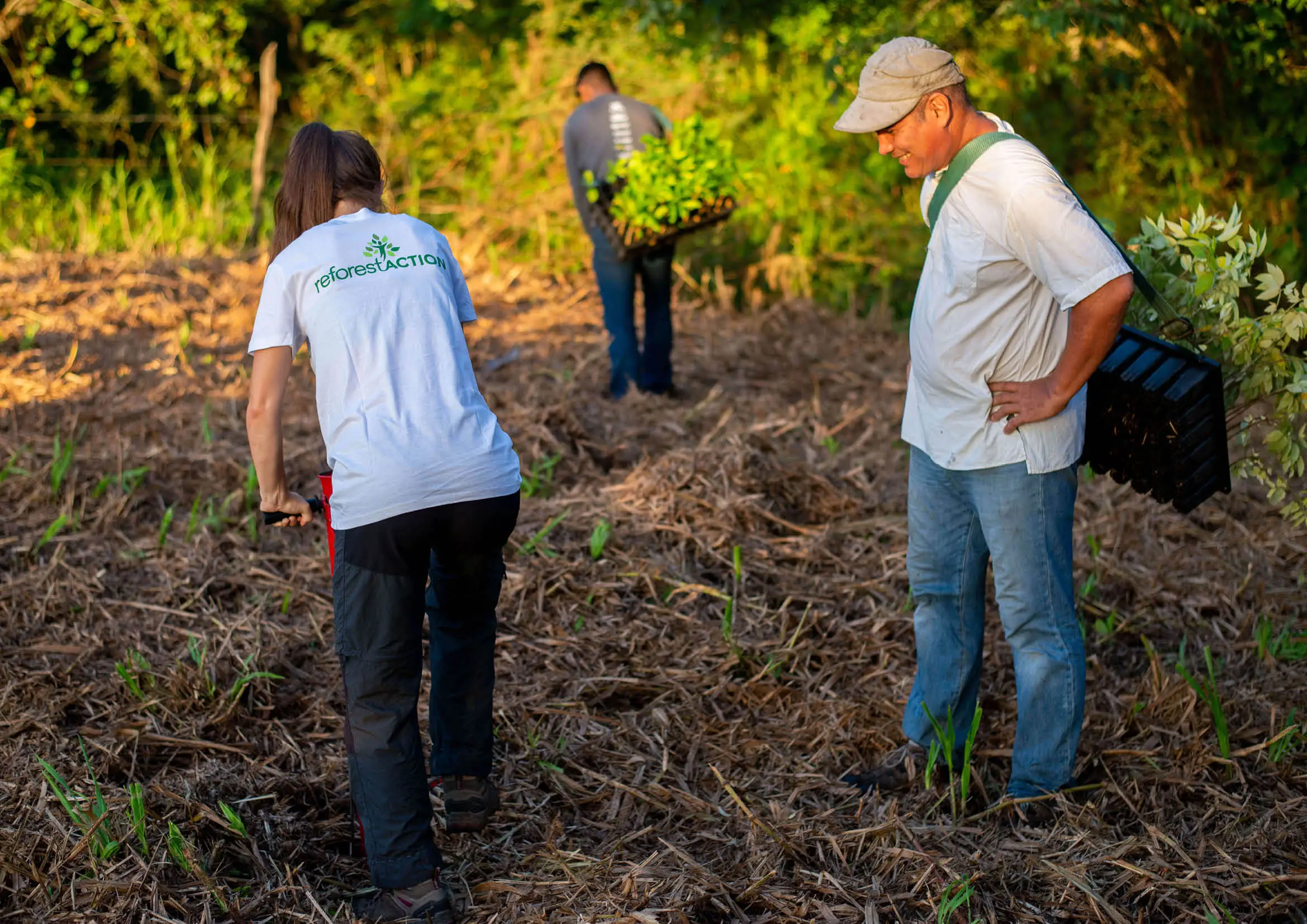 Mission d'audit au Mexique pour Reforest'Action