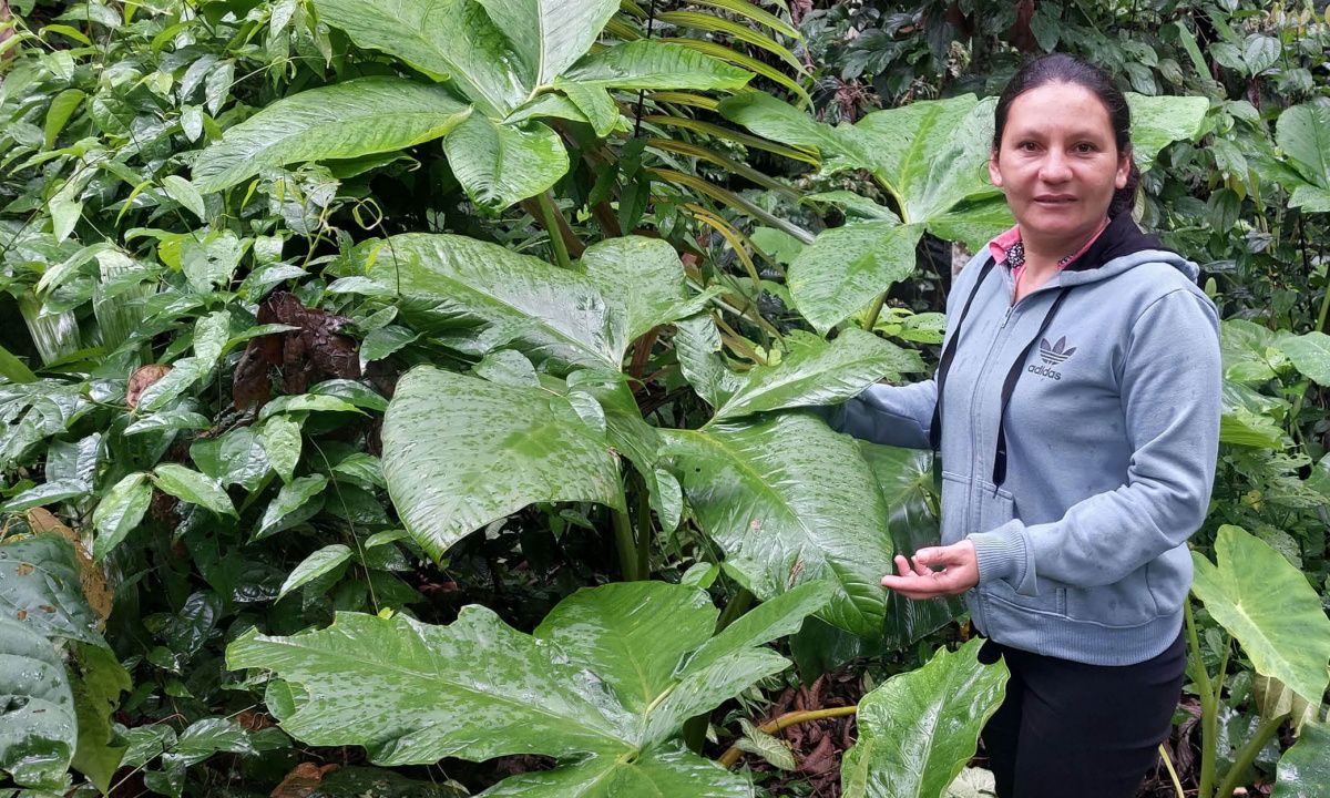 Bénéficiaire devant plantes