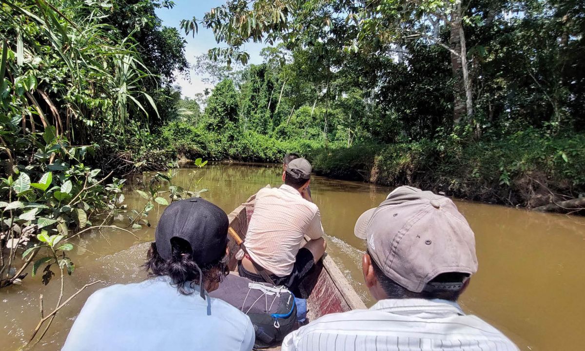 Canoë sur rivière dans la jungle