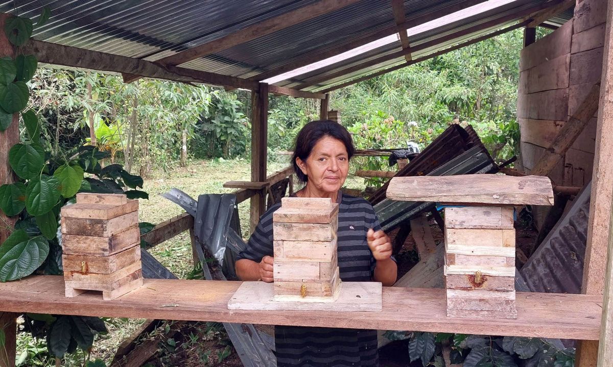 Activité d'apiculture