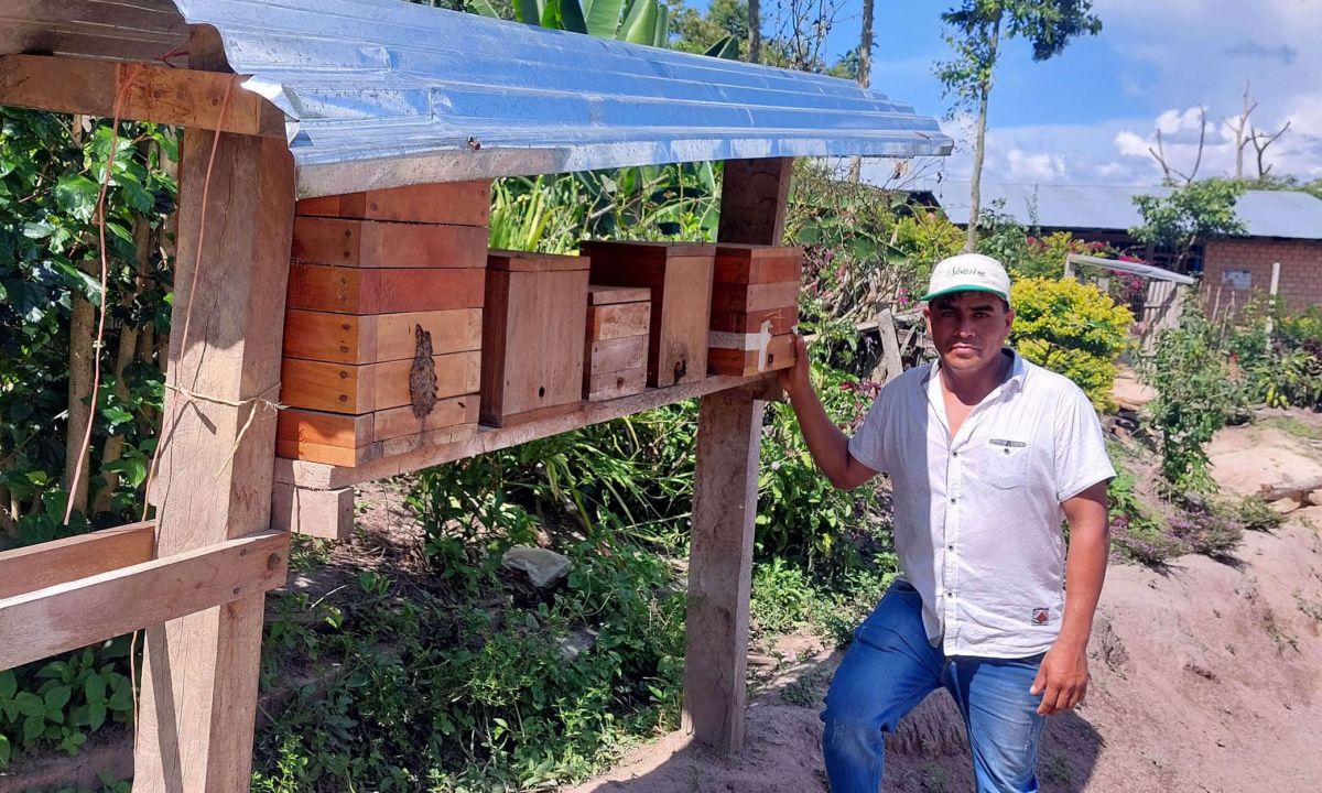 Activité d'apiculture